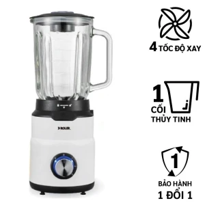 Máy xay sinh tố Roler RB-4104 (600W, 1.5 lít)