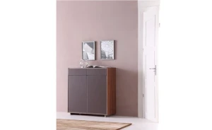 Tủ giày Valencasa R111