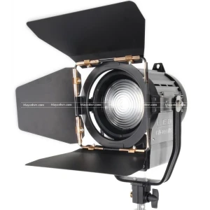 Đèn LED Spotlight CD-1000WS