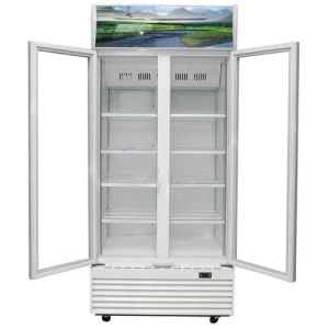 Tủ Mát Sanaky 700 Lít VH-8009HP