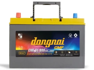 Ắc quy khô Đồng Nai 12V-100Ah CMF 31800ĐN (31800RDN)