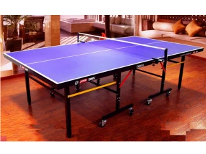 Bàn bóng bàn DHS 2010