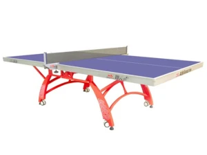 Bàn bóng bàn Double Fish Xiangyun X1