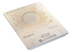 Bếp điện từ đơn KG419i