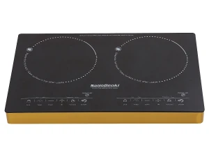 Bếp đôi dương điện quang Saijodenki SD-6900