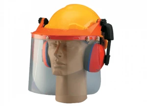 Bộ bảo vệ mặt kèm chụp tai Proguard BGVH/SI-2/PC06SE