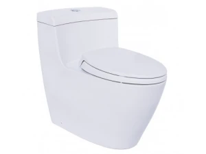 Bồn cầu 1 khối Toto MS636DT2 (Nắp đóng êm TC393VS)