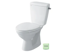 Bồn cầu 2 khối Inax C-117VAN/SG9