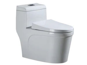 Bồn cầu sứ tráng men chống bám bẩn cao cấp Hiwin MT-2216PP