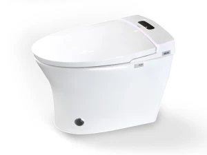 Bồn cầu thông minh Hiwin MT-666