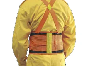 Đai bảo hộ sống lưng Proguard LSB