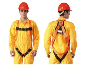 Dây an toàn toàn thân Proguard PG141060-OB