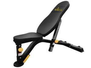 Ghế đa năng BoFit G1