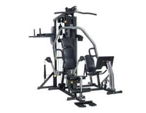 Giàn tạ đa năng Horizon Torus 5