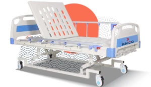 Giường bệnh Ichigo 3 tay quay IG-HB03
