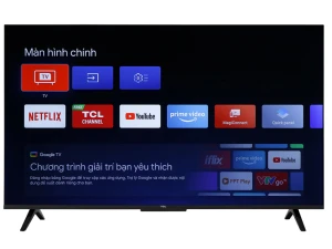 Google Tivi TCL 4K 43 inch 43P635