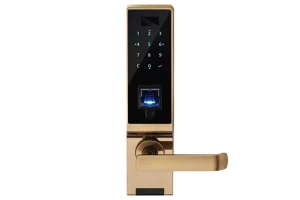 Khóa điện tử Archie AJ2021-03-K9