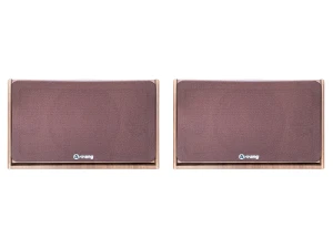 Loa Arirang Jant VIII