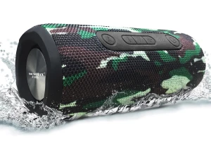 Loa Bluetooth SoundMax R-800