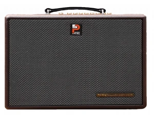 Loa di động Karaoke xách tay Prosing W8 KOR