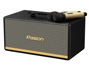 Loa di động Paramax Pasion 2 xách tay