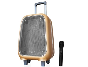 Loa di động SoundMax M6 (80W)