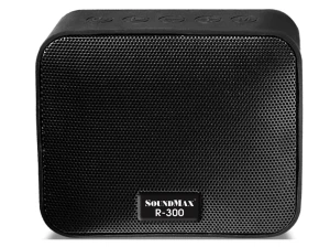 Loa di động SoundMax R-300