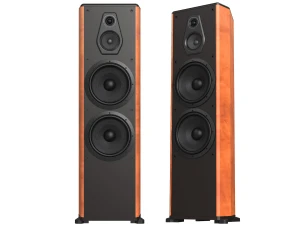 Loa đứng nghe nhạc và karaoke Paramax MK-D2000