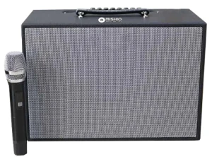 Loa gỗ xách di động Mishio MK-X120 (kèm Micro)