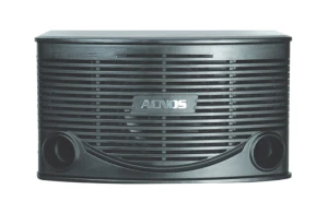 Loa karaoke Acnos SL-66