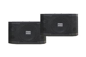 Loa karaoke Arirang TSE - T3