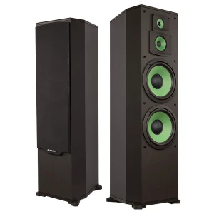 Loa Karaoke đứng Paramax F2000