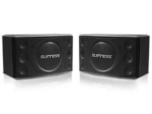 Loa karaoke Guinness 705 II