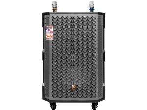 Loa karaoke không dây Prosing W18C