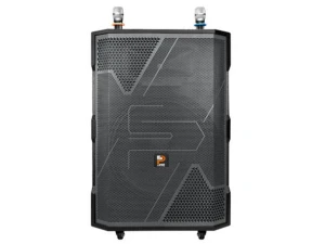 Loa Karaoke không dây Prosing W2US