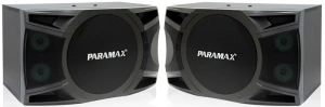 Loa karaoke Paramax P1000