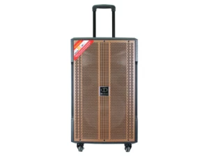 Loa kéo karaoke Dalton TS-12G380N