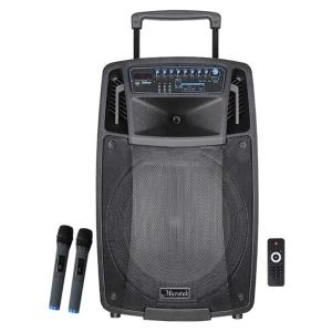 Loa kéo Microtek MTK-08 (550W)