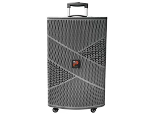 Loa kéo Prosing W12 Infinity