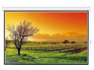 Màn chiếu điện điều khiển từ xa Dalite PW200ES 200 inch (160 inch x 120 inch)