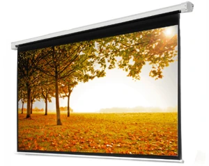 Màn chiếu điện Snowhite 96 96 inch