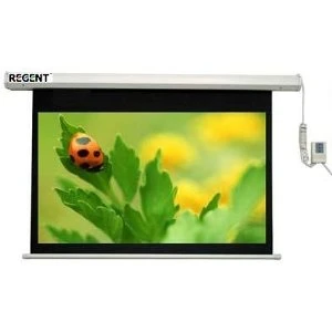 Màn chiếu điều khiển từ xa Regent 84 x 84 ELS 220 (2m13 x 2m13)
