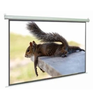 Màn chiếu treo tường Dalite 84 x 84 inch (P84WS/CN-T120)