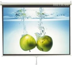 Màn chiếu treo tường Dalite P60WS/MT60 (1m52 x 1m52)