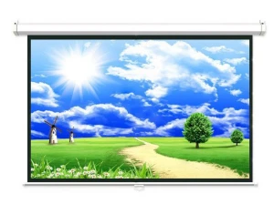 Màn chiếu treo tường Dalite P96WS (96 inch x 96 inch)