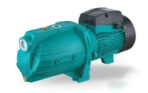 Máy bơm hút chân không Lepono AJM30 (XJWm/1C-E)