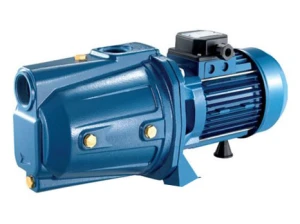 Máy bơm ly tâm dân dụng Pentax CAM 75N/60