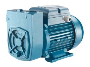 Máy bơm ly tâm dân dụng Pentax MD 100