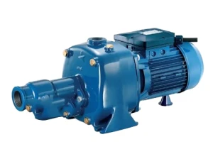 Máy bơm nước dân dụng Pentax CABT 200