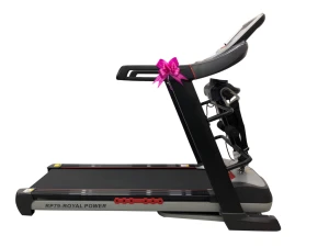 Máy chạy bộ điện Royal RP-79